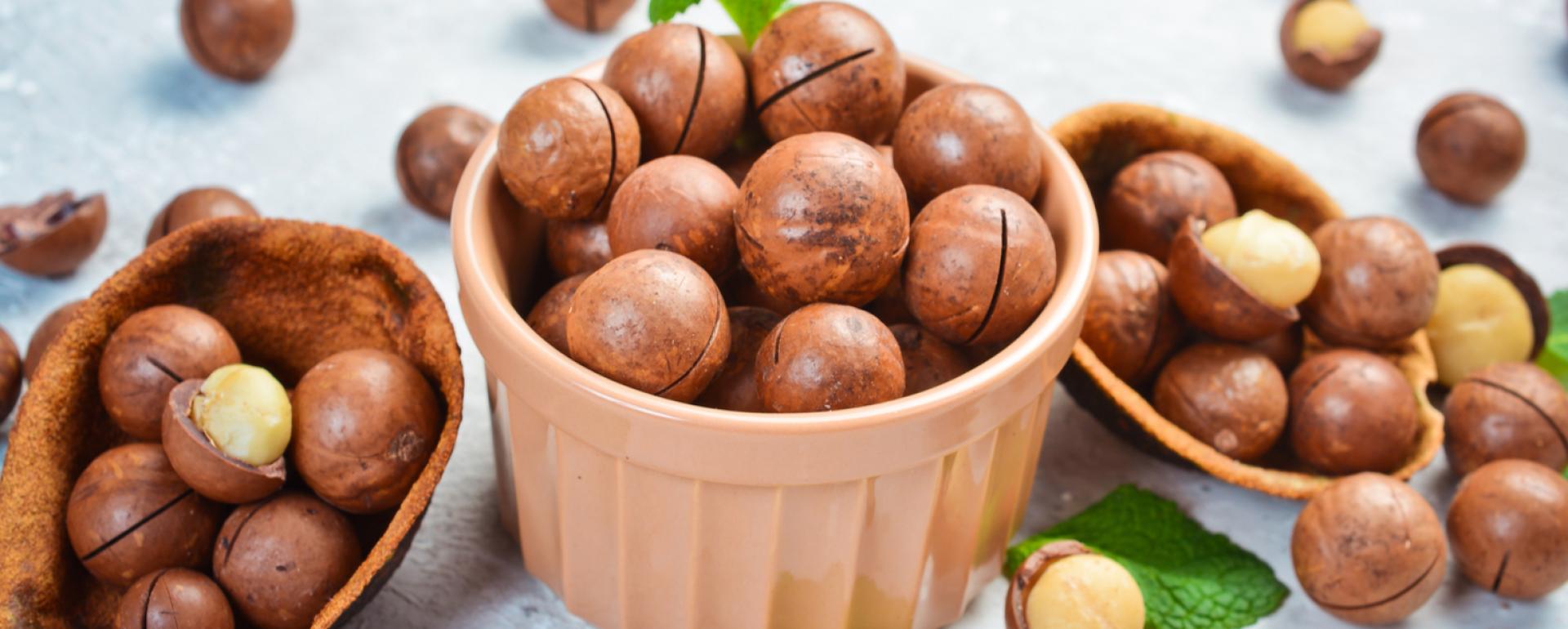 Dzień Orzechów Makadamia