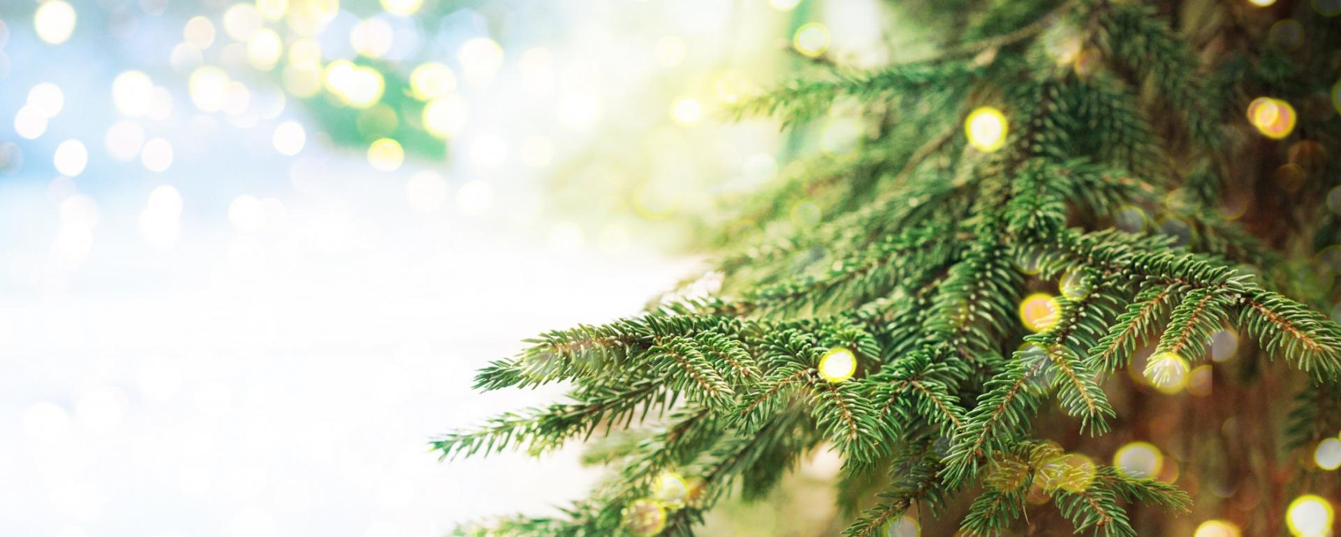 O świętach na świecie