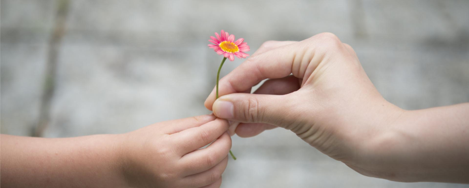 Światowy Dzień Życzliwości – krótka historia dobra