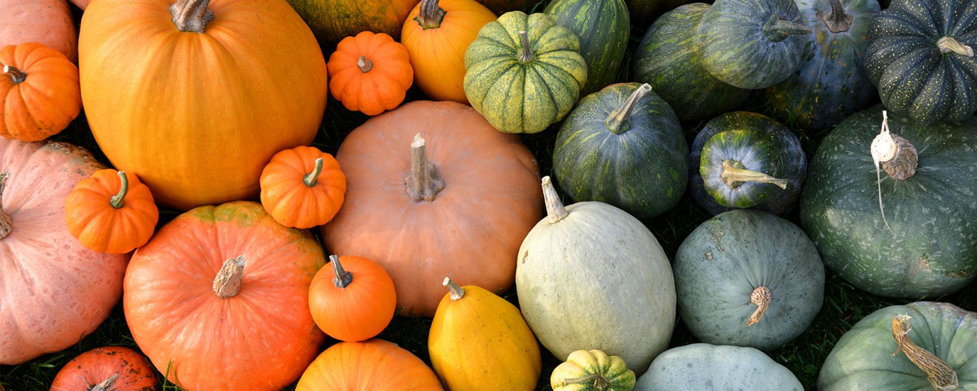 Stół się zajesienił, czyli dyniowe dodatki